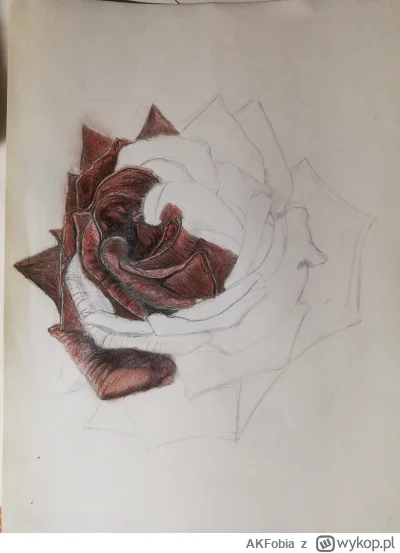 AKFobia - Z 10 lat temu kupiłem sepie w sztyfcie i ani razu jej nie używałem, po ośmi...