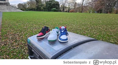 Sebastianpalo - Właśnie kolega spaceruje po Phoenix Parku w Dublinie. Patrzy a tam na...
