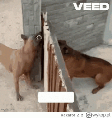 Kakarot_Z - @Nowastara: