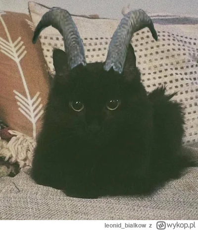 leonid_bialkow - JESTĘ ŚMIESZNY CZORT WIENC ŚMIEJE SIEM