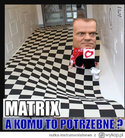 nutka-instrumentalnews - #humorobrazkowy #humor #polska
#polityka #heheszki