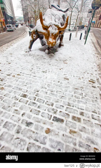 bar125 - Dla wszystkich nowy inwestorów zysk jak i strate z giełdy ze spółek amerykań...