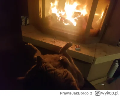 PrawieJakBordo - Uwaga! Sezon grzewczy rozpoczęty
#przypalonykot