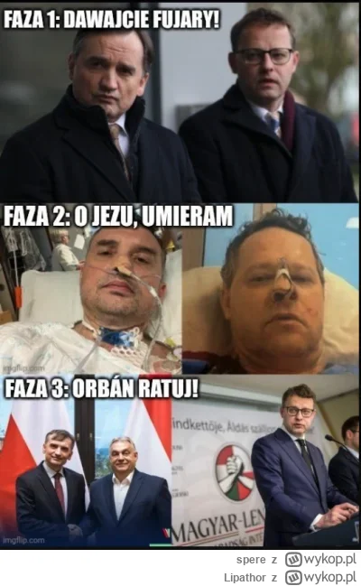 Lipathor - @DrFaithless: O 100 konkretów bóldupią tylko ci, co nie głosowali na KO. A...