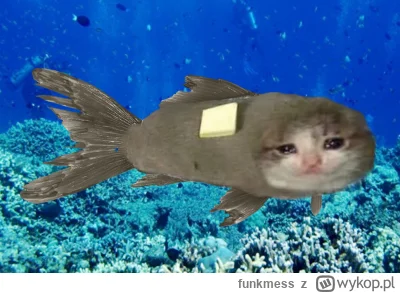 funkmess - @robertkk: Operacja specjalna to bul
Bul bul bul...