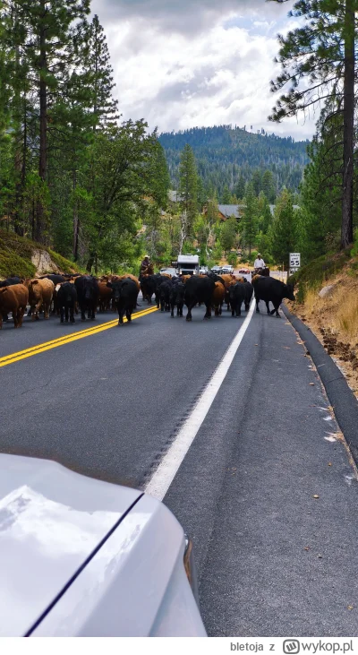 bletoja - #usa #podroze #podrozujzwykopem