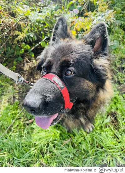 malwina-koleba - @o__0 tak