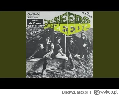BiedyZBaszkoj - 351 - The Seeds - Nobody Spoil My Fun (1966)

#muzyka #baszka