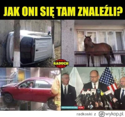 radkoski - #bekazpisu #polityka 😎