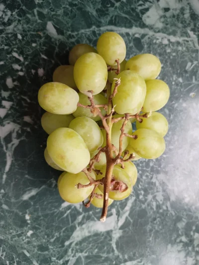 luxkms78 - #jedzzwykopem #winogrona #grapes #winogrono #grape