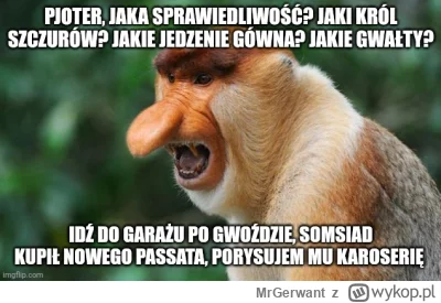 MrGerwant - #konkursnanajbardziejgownianymemznosaczem #konkursnanajbardziejnormalnyme...