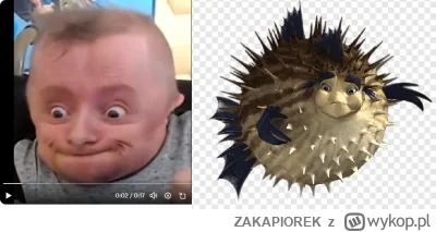 ZAKAPIOREK - zapytacie kto grał sykes'a w rybki z ferajny?

#famemma #mikrocypek