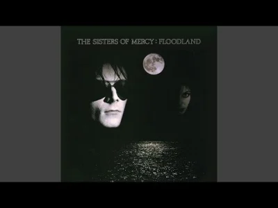 RobieInteres - #muzyka #gothicrock #80s #rock

The Sisters Of Mercy - Dominion
In the...