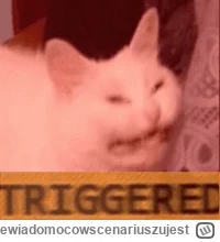 niewiadomocowscenariuszujest - @WebsterBolek: