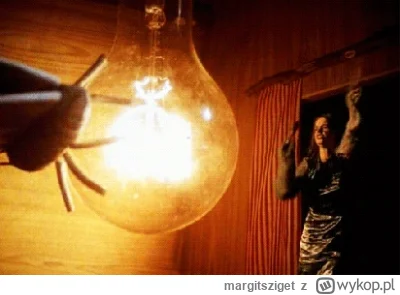 margitsziget - @raphau tak mi się skojarzyło