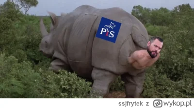 ssjfrytek - #humorobrazkowy #kanalzero #polityka