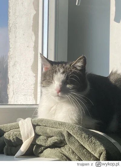 trujpan - A teraz opalanko