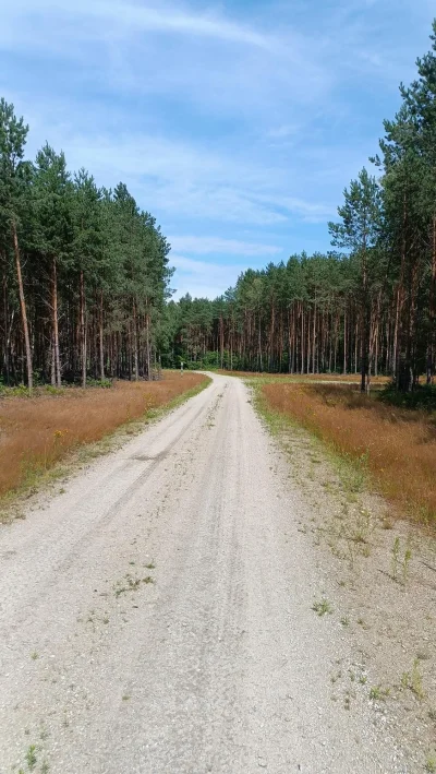 cultofluna - 212 244 + 68 = 212 312

Znów pogoda lepsza niż prognozy 乁(♥ ʖ̯♥)ㄏ

Wyb...