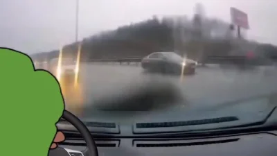 LeafWhisper - #przegryw