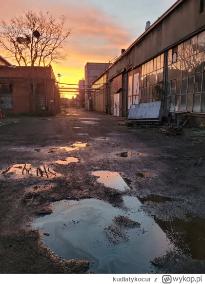 kudlatykocur - #kolhoz #kolchozart #fotografia