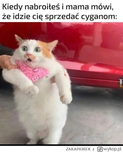 ZAKAPIOREK - #dziendobry #heheszki #humorobrazkowy