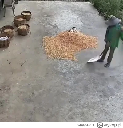 Shadev - Idealnie obrazuje polityków podczas praktycznie każdej akcji
#heheszki