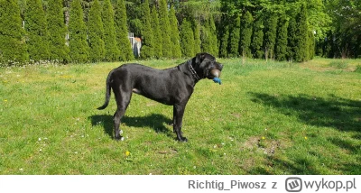 RichtigPiwosz - @KarpMolotow: 
No to się doczekaliście ;P
SPOILER