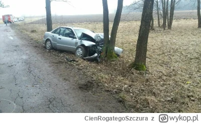 CienRogategoSzczura - @mibmib2: Sugerowanie że brzoza nie może rozerwać kruchej alumi...