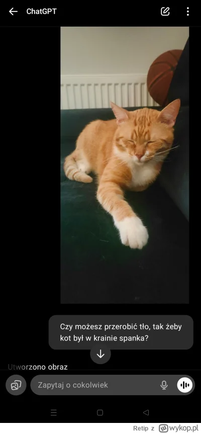 Retip - #pokazkota #chatgpt
