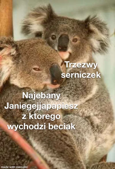 serniczekwiedensky - @JaNieGejJaPapiesz ( ͡° ͜ʖ ͡°) #zwiazki