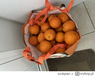 asdfghjkl - Ostatni zbiór pomarańczy w tym roku. Na drzewach już są nowe kwiaty pomar...