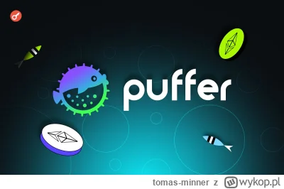 tomas-minner - Czym jest Puffer Finance: przegląd projektu
https://incrypted.com/pl/c...