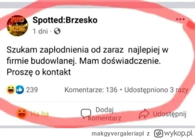 makgyvergaleriapl - Budowlaniec, silne geny...