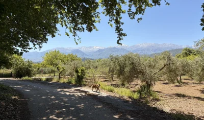 asdfghjkl - Szpacerek z hieno odbyty #legancko