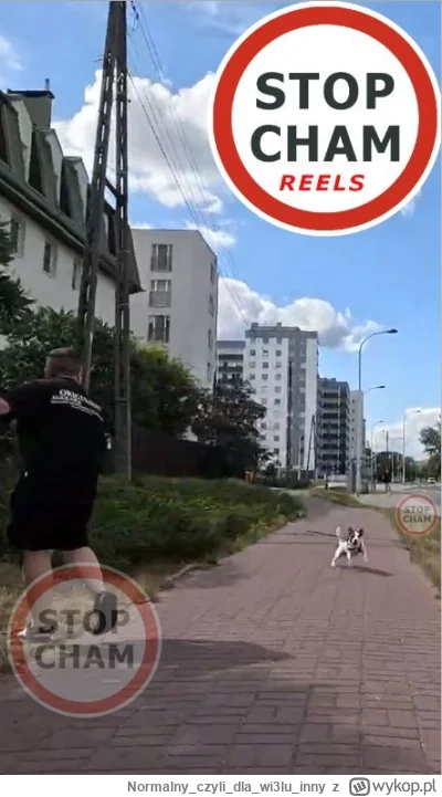 Normalnyczylidlawi3luinny - @mtosny: https://www.facebook.com/reel/1943861366403348