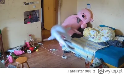 Fatalista1988 - yeah that's me you're probably wondering how i ended up in this situa...