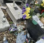 Negaigoto - Mirki i Mirabelki. Taka jest afera. Zarządcą stwierdził, że świetnym pomy...