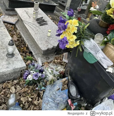 Negaigoto - Mirki i Mirabelki. Taka jest afera. Zarządcą stwierdził, że świetnym pomy...