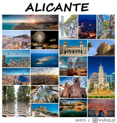 del855 - Alicante - vs Kolobrzeg?

W sumie nie wiem do czego to miasto porownac, bo t...
