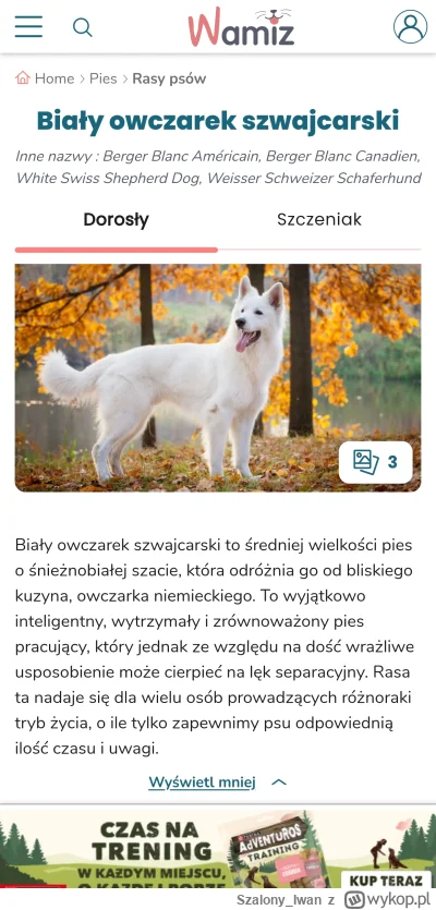 Szalony_Iwan - #psiarze #psy #pies 
Ostatnio pożegnałem swojego psa, na wiosne bede c...