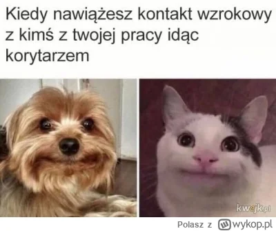 Polasz - Dzień Dobry :)