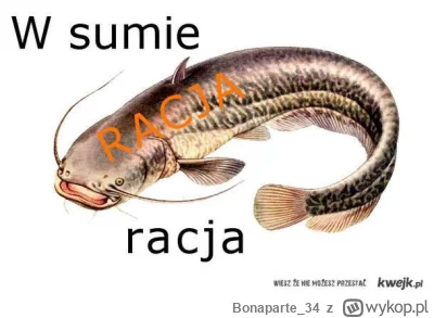 Bonaparte_34 - @kaoen9: