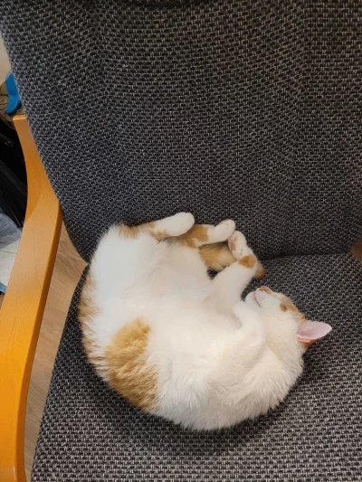 RicoElectrico - @SatanWasa_Babyboomer: