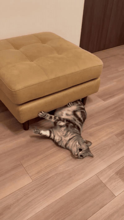 jestemtakizmeczony - @jestemtakizmeczony: