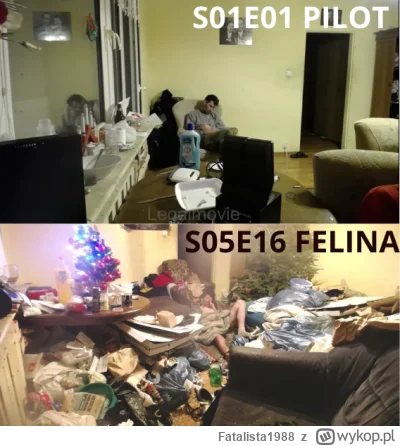 Fatalista1988 - #danielmagical #patostreamy #famemma #heheszki #primemma #breakingbad...