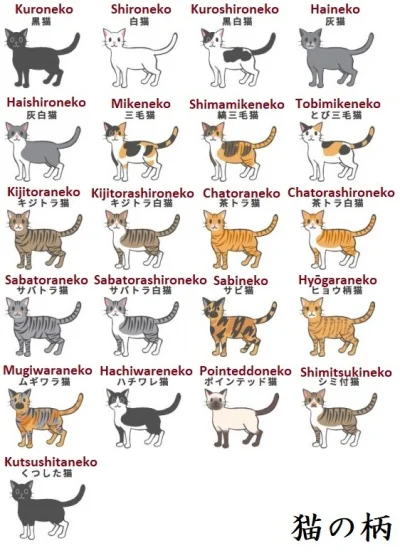 RicoElectrico - Umaszczenia #koty po #japonski
#ciekawostki #infografika