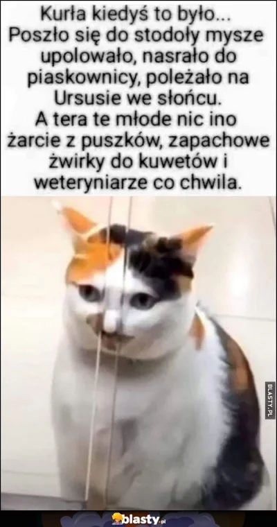 ReelYumanBoeing - @STALKER_ kediśtobyło.jpg