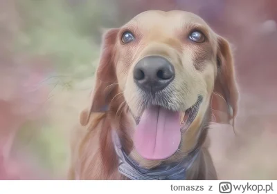 tomaszs - 🎨🐶 Chciałem kwiatowy plakat z moim psem, ale nigdzie nie mogłem go znaleź...