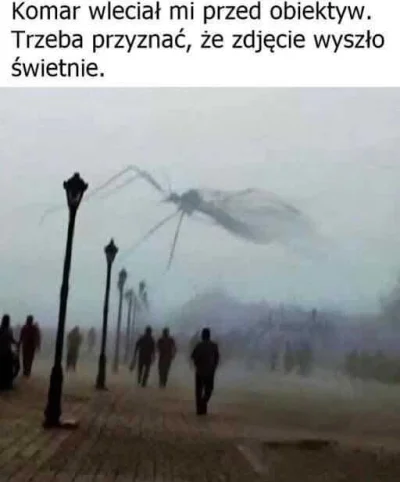 CZESARZ_INTERNETU - #fotografia