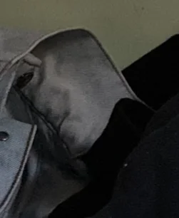 Dawid-01100 - #przegryw Cos takiego mi sie zrobiło z kurtki jakaś głowa czy to jakis ...